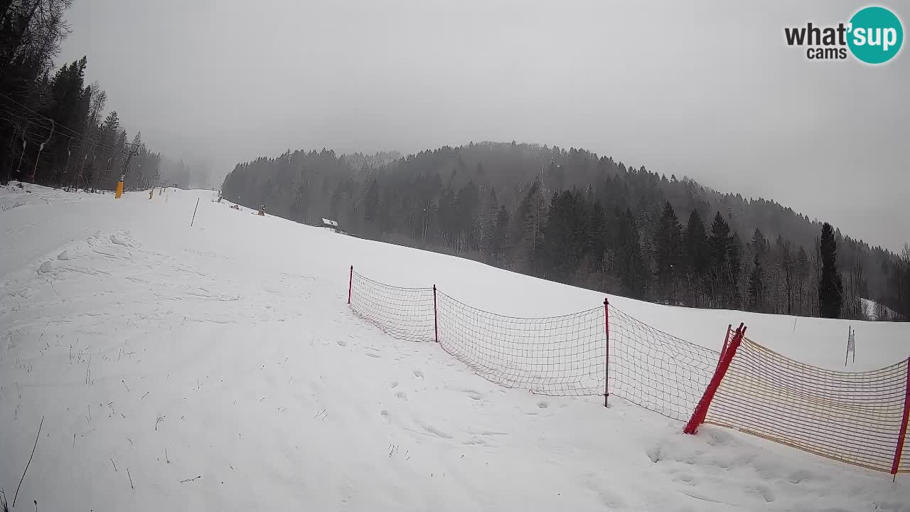 Ski Kranjska Gora | Brsnina