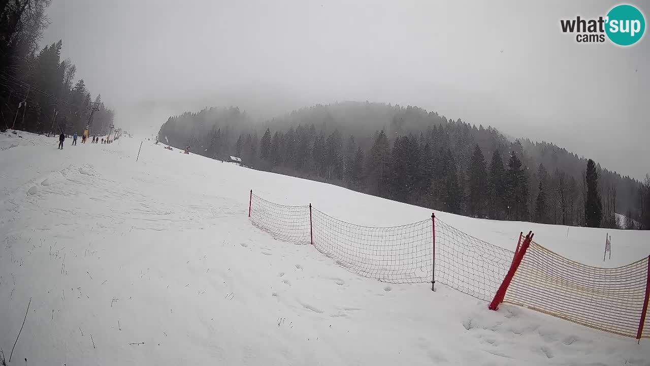 Ski Kranjska Gora | Brsnina