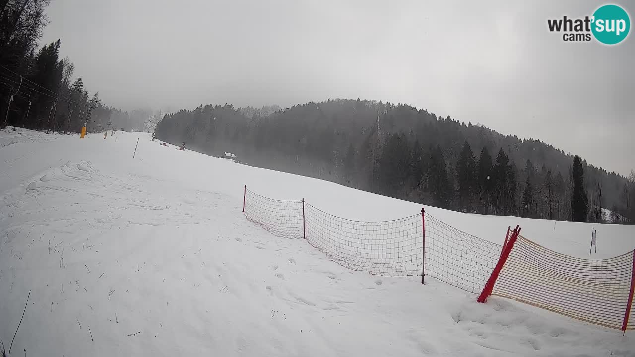 Ski Kranjska Gora | Brsnina