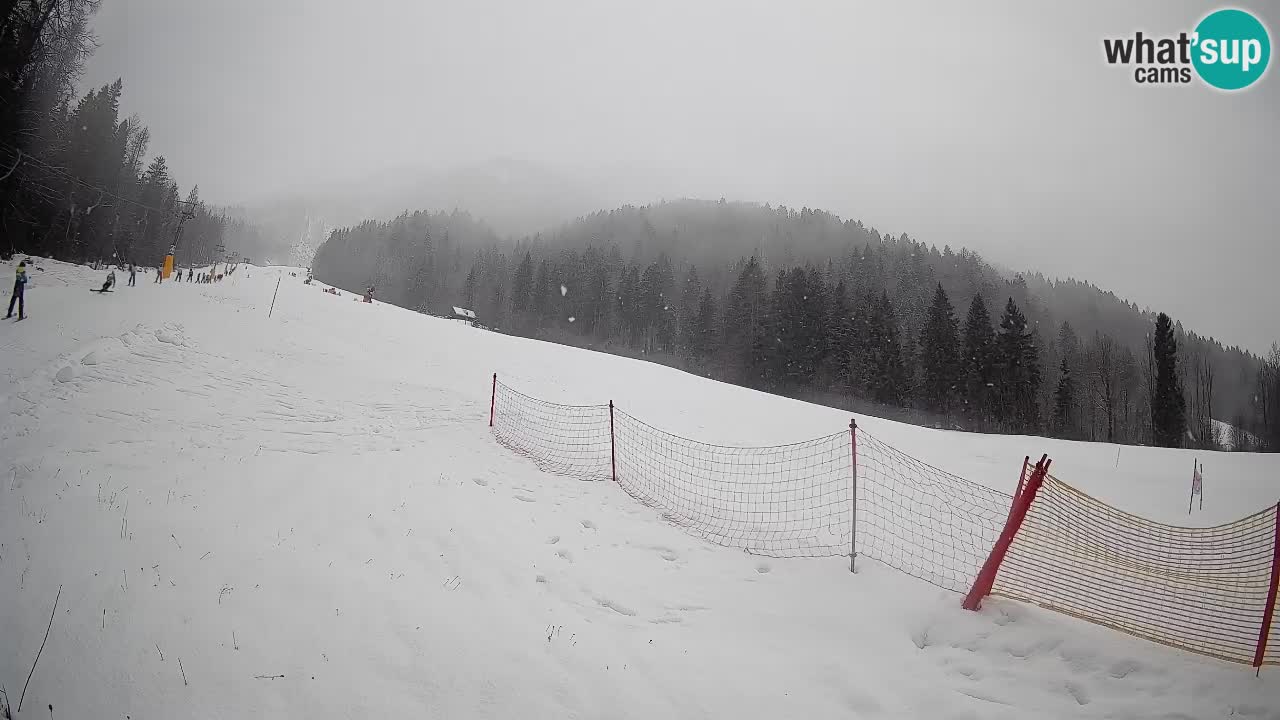 Ski Kranjska Gora | Brsnina
