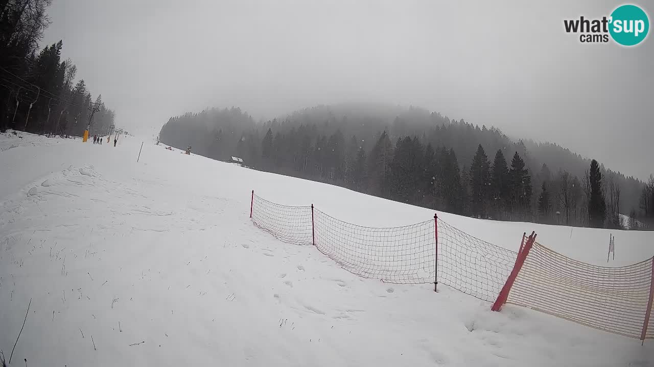 Ski Kranjska Gora | Brsnina