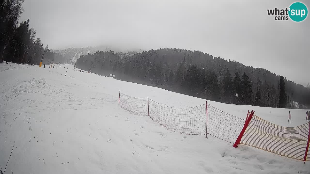 RTC Kranjska Gora | Brsnina