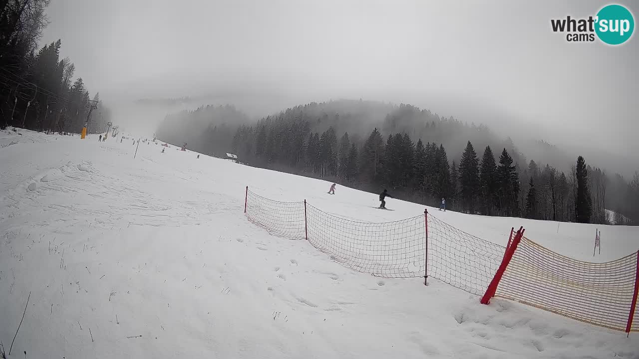 Kranjska Gora Station de ski | Brsnina