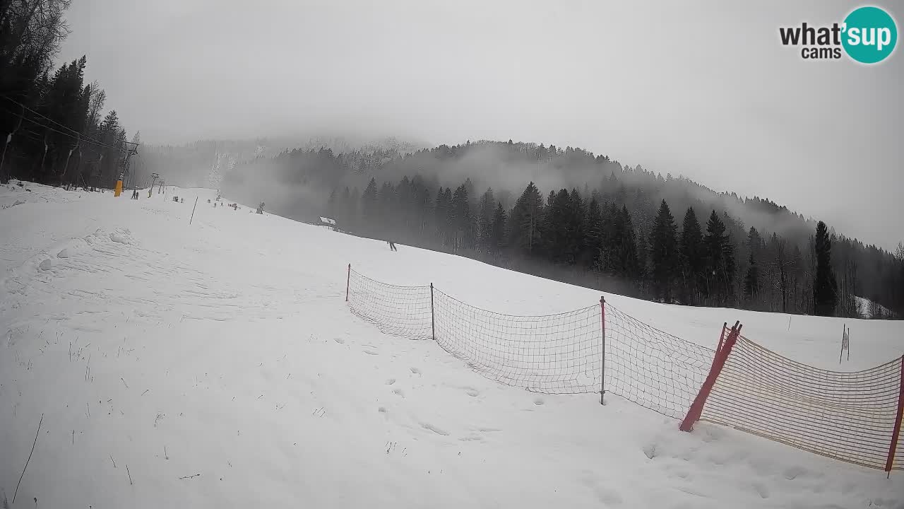 RTC Kranjska Gora | Brsnina