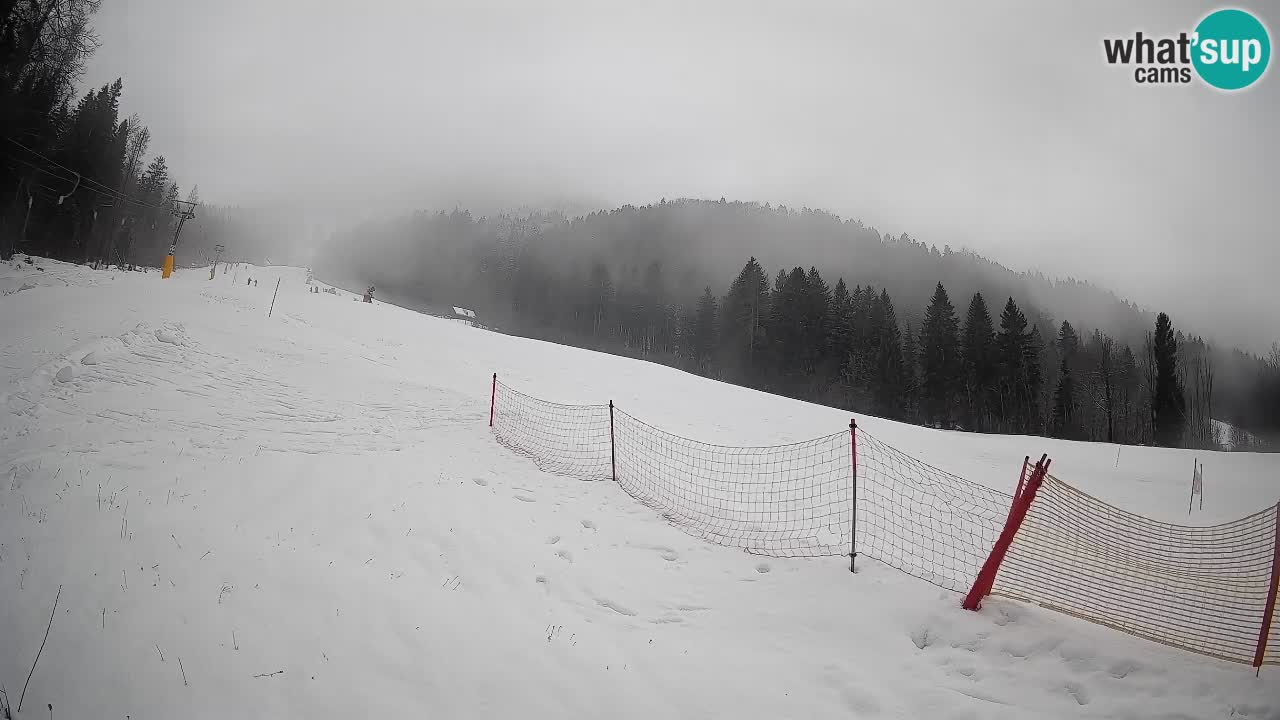 RTC Kranjska Gora | Brsnina
