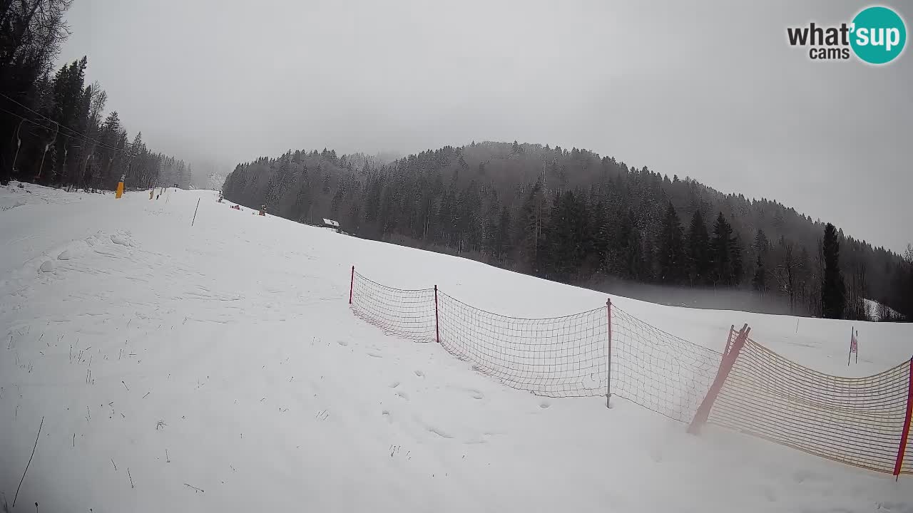 Kranjska Gora Station de ski | Brsnina