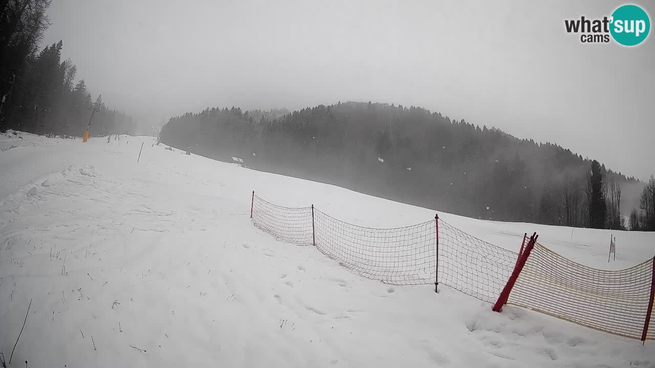 Ski Kranjska Gora | Brsnina