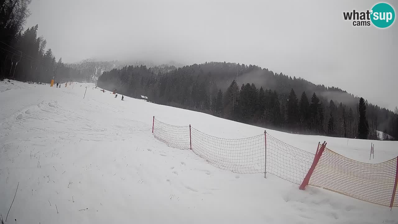 Ski Kranjska Gora | Brsnina