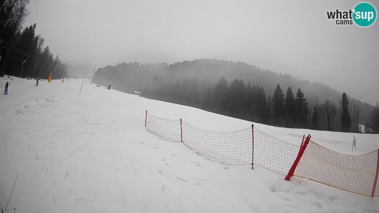 RTC Skigebiet Kranjska Gora | Brsnina