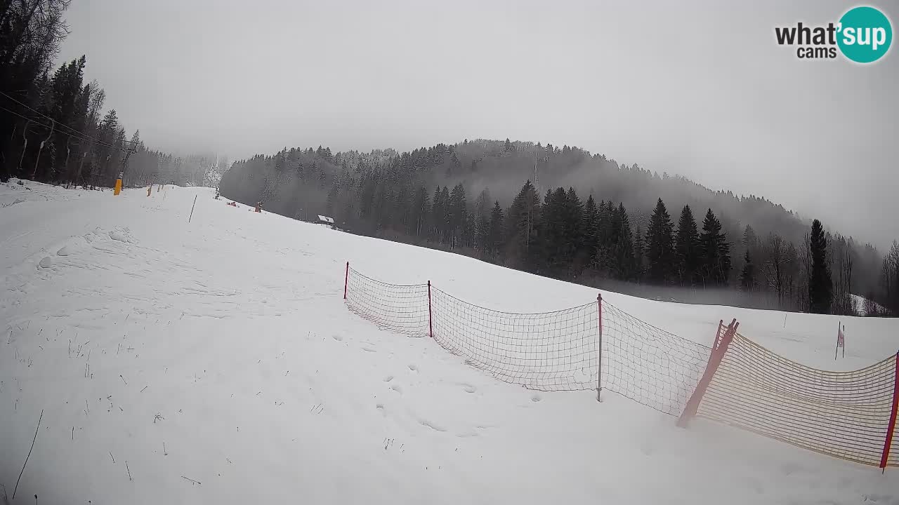 Kranjska Gora Station de ski | Brsnina