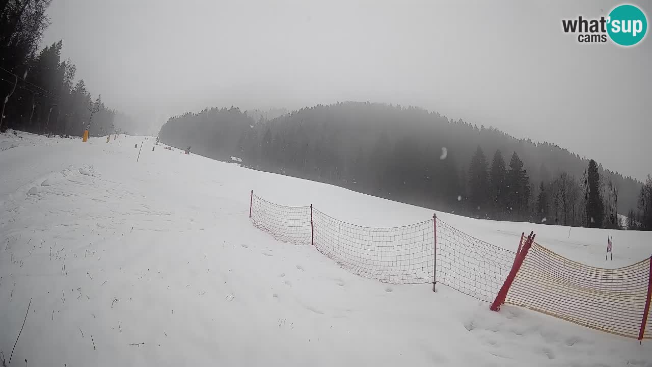 Comprensorio sciistico Kranjska Gora | Brsnina