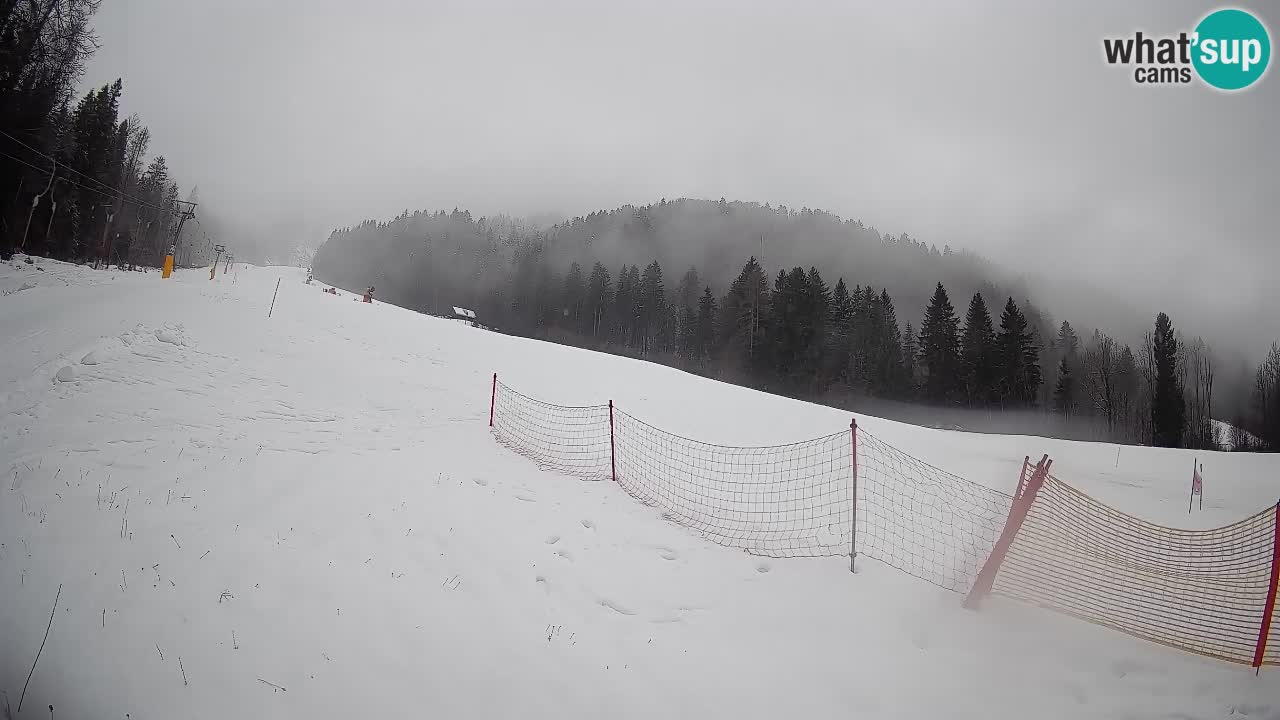 RTC Skigebiet Kranjska Gora | Brsnina