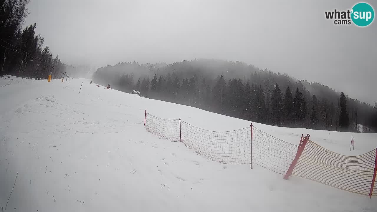 Ski Kranjska Gora | Brsnina
