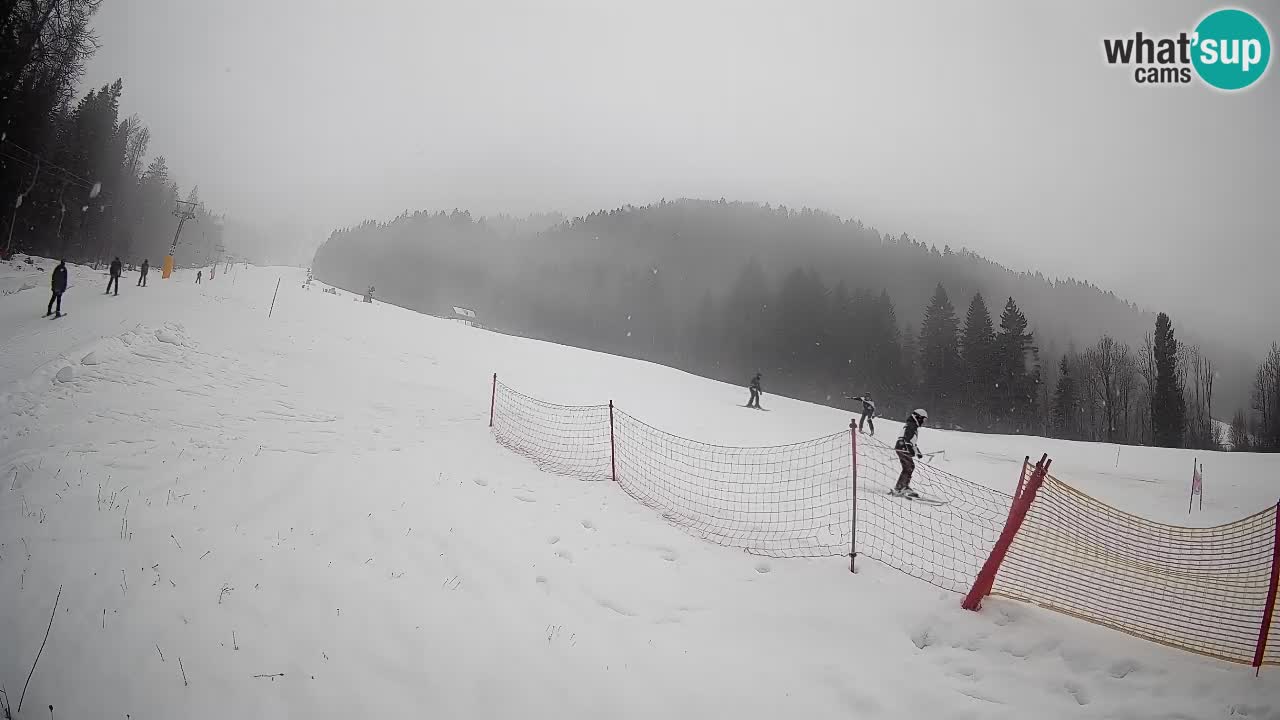 Esquí Kranjska Gora | Brsnina