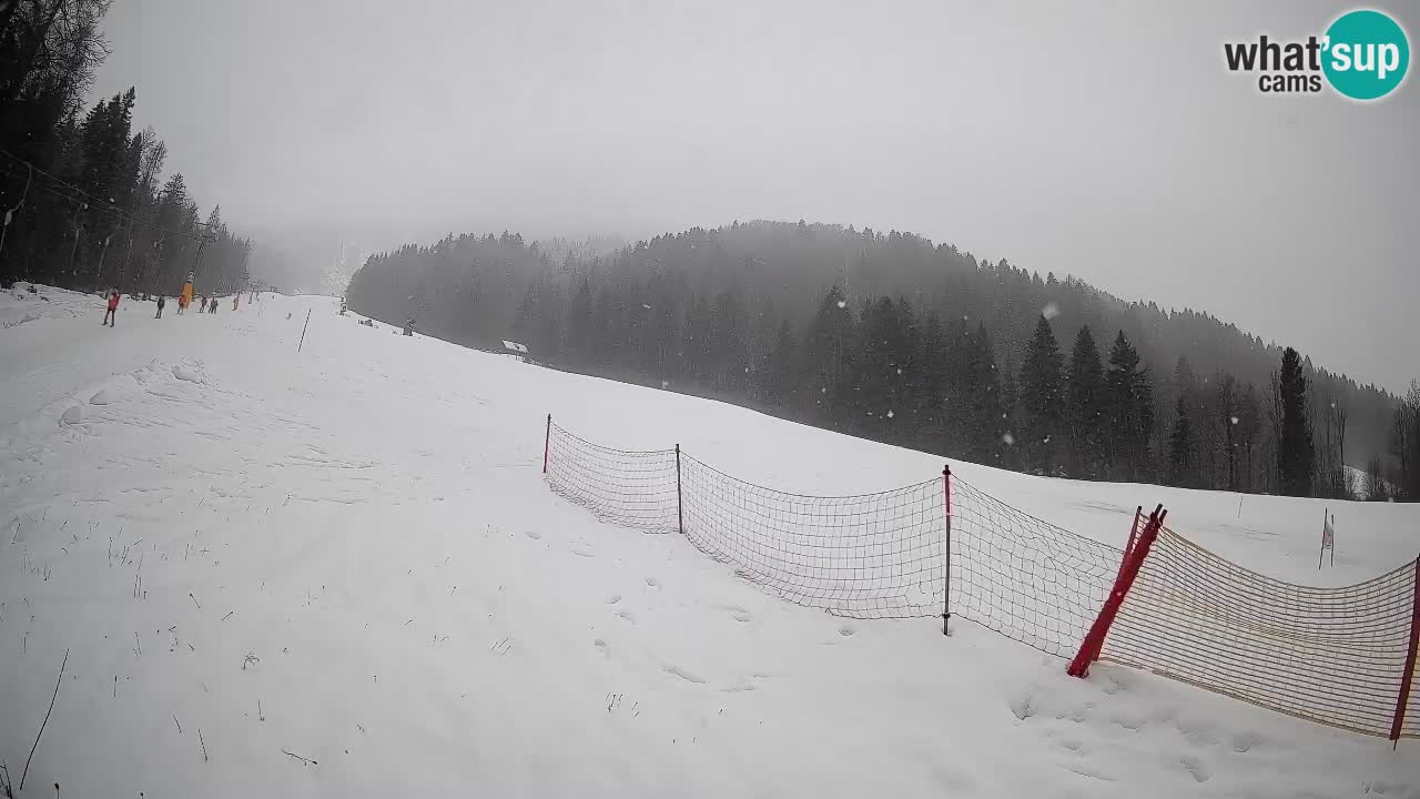 Ski Kranjska Gora | Brsnina