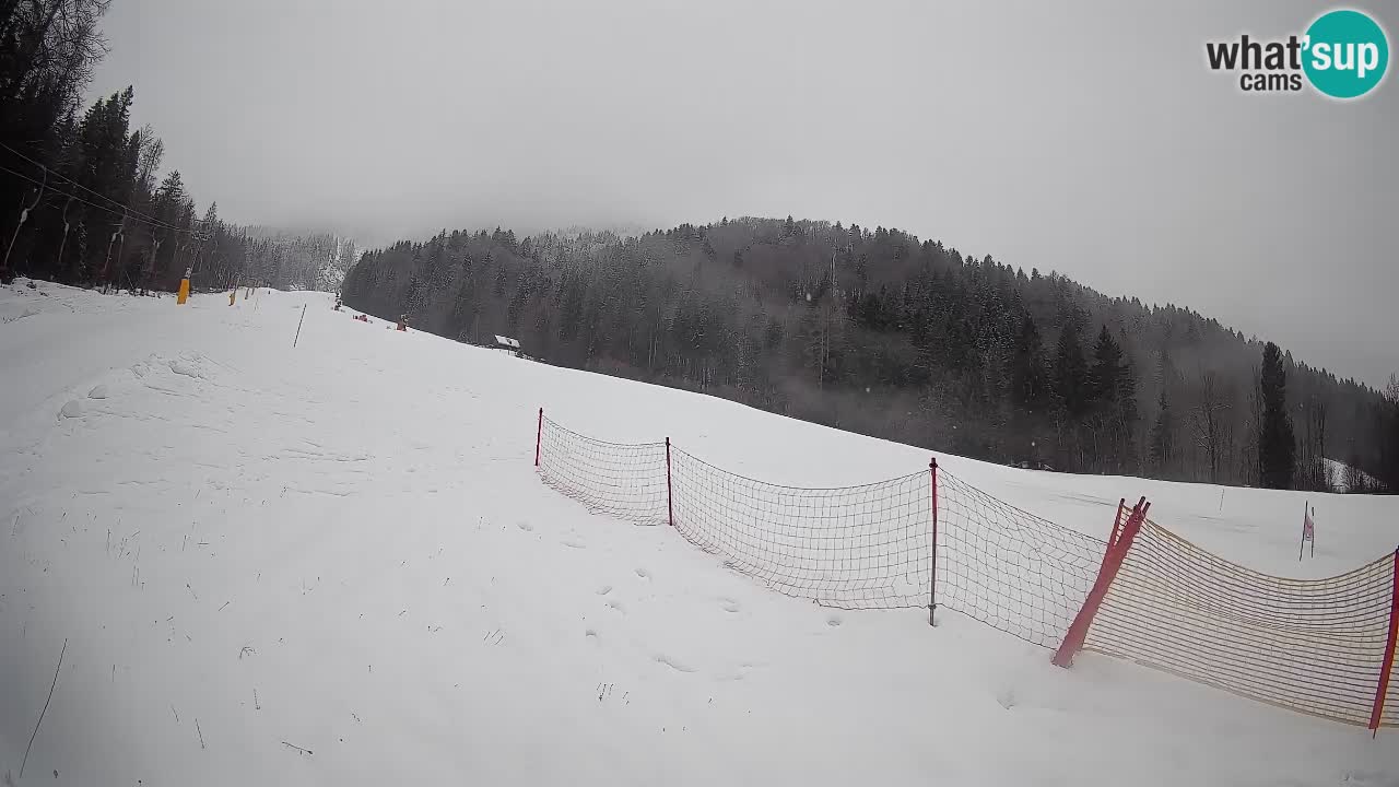 Ski Kranjska Gora | Brsnina