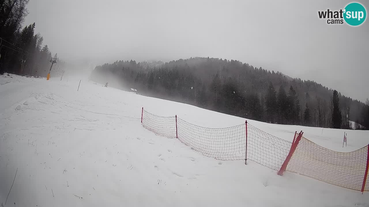 Ski Kranjska Gora | Brsnina