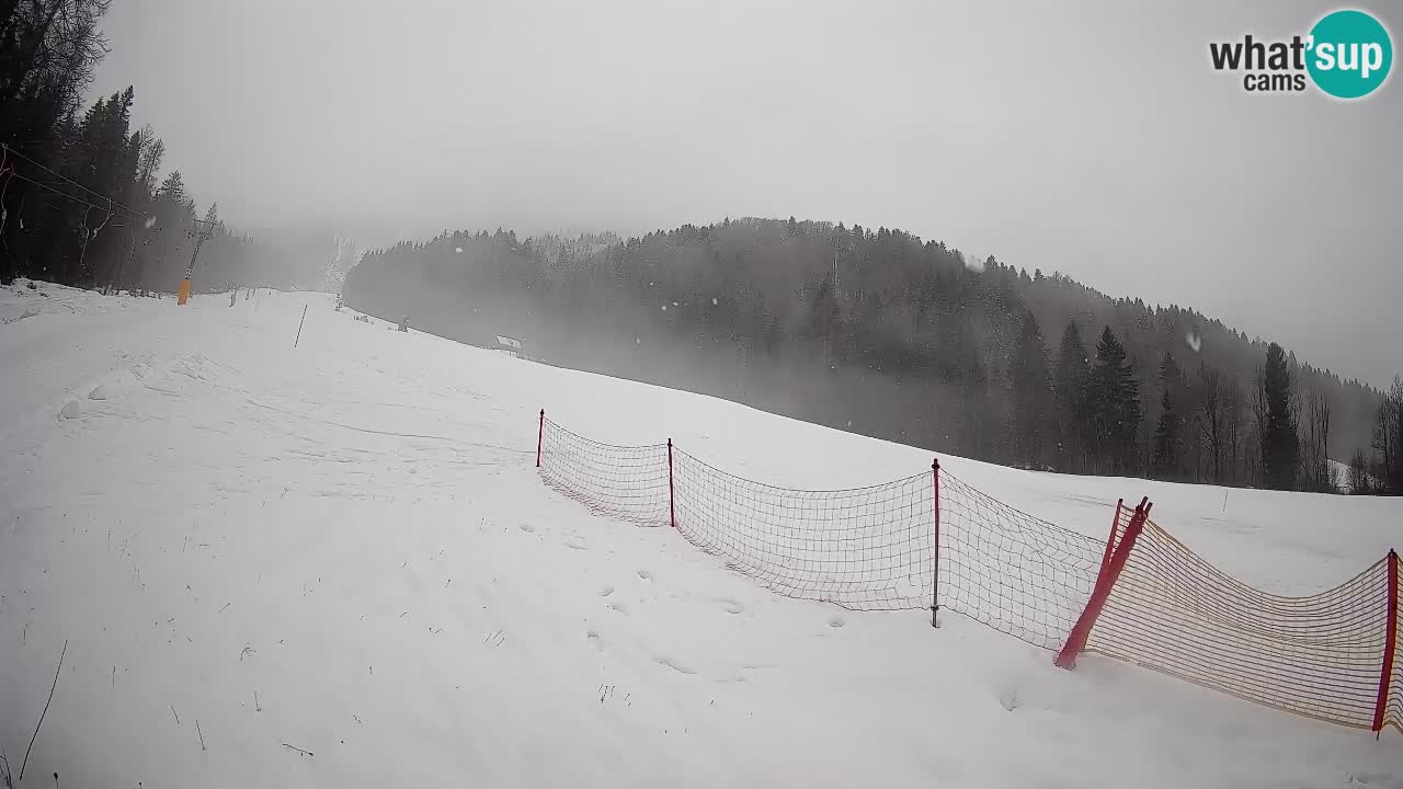 Kranjska Gora SKIJANJE | Brsnina