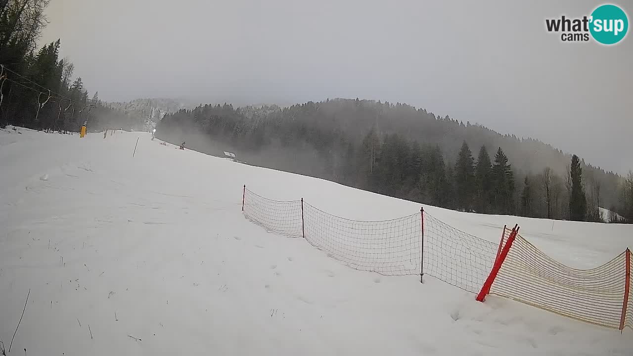 Kranjska Gora Station de ski | Brsnina