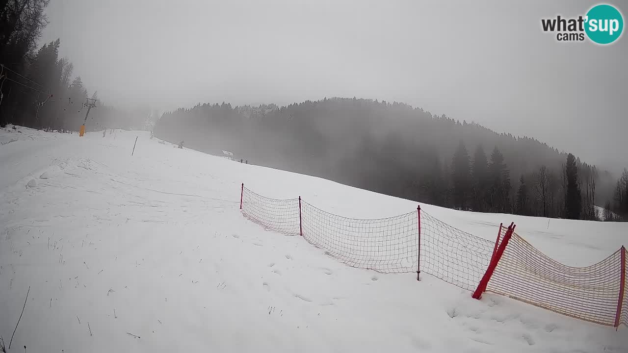 RTC Skigebiet Kranjska Gora | Brsnina