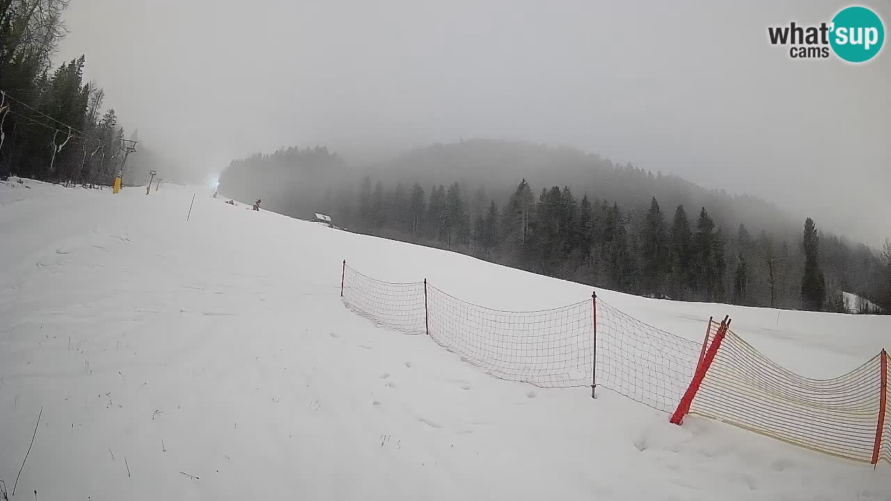 Kranjska Gora Station de ski | Brsnina