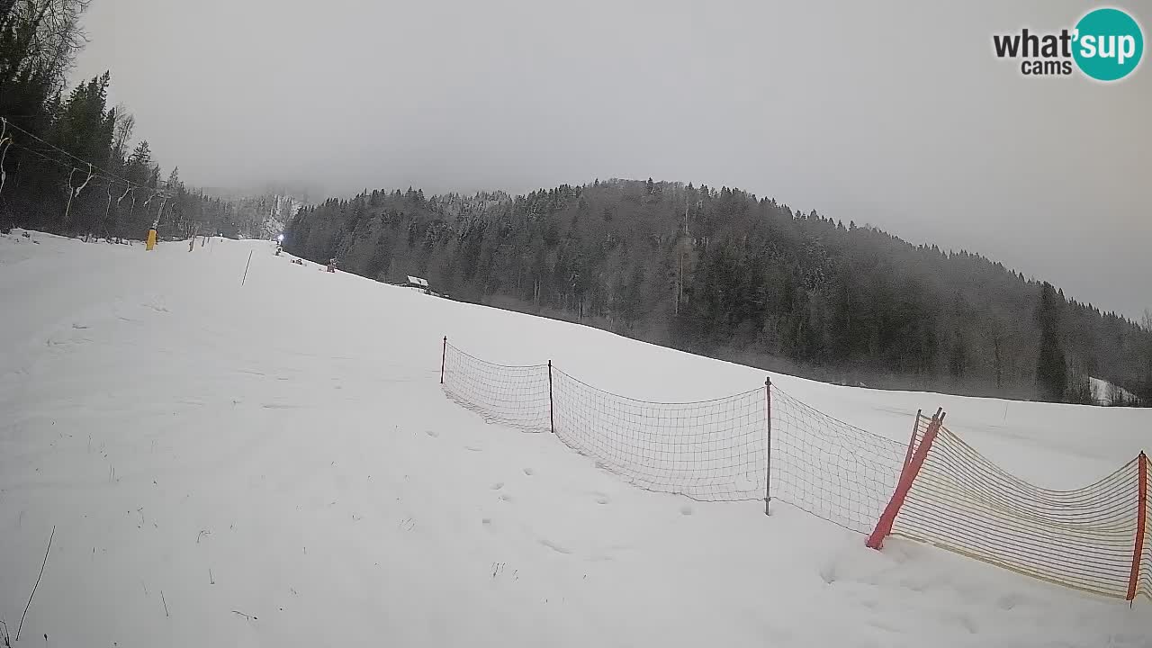 Ski Kranjska Gora | Brsnina