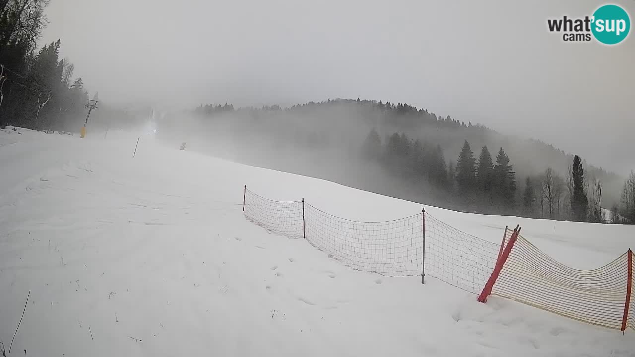 Comprensorio sciistico Kranjska Gora | Brsnina