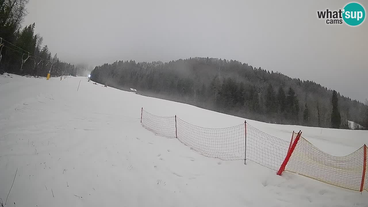 Comprensorio sciistico Kranjska Gora | Brsnina