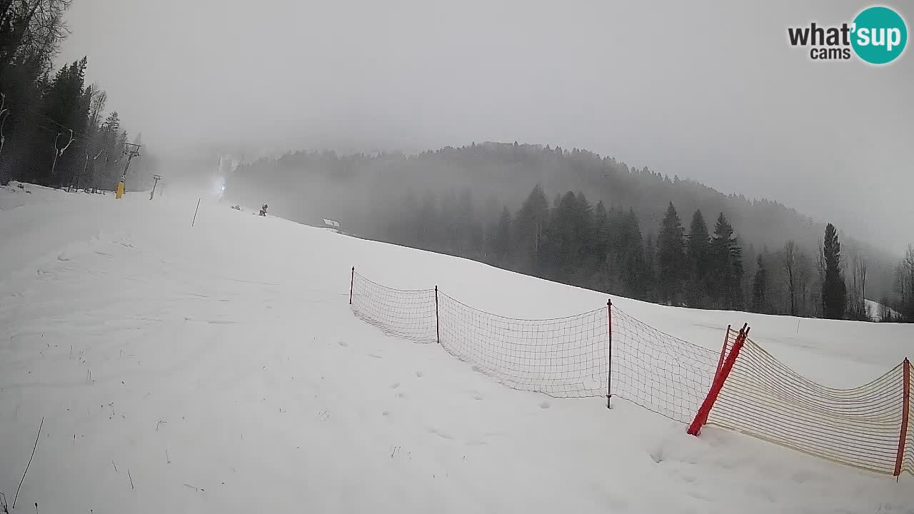 RTC Kranjska Gora | Brsnina