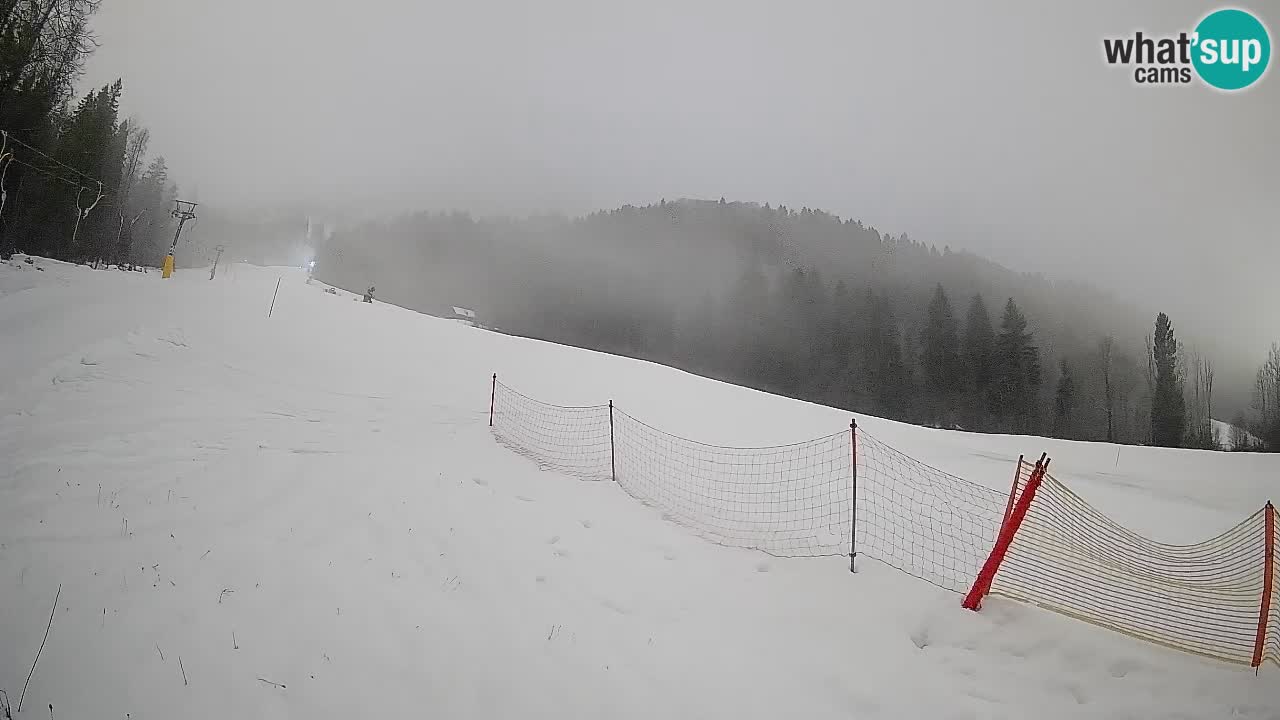 Kranjska Gora SKIJANJE | Brsnina