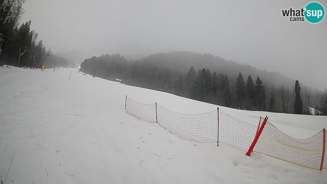 Ski Kranjska Gora | Brsnina