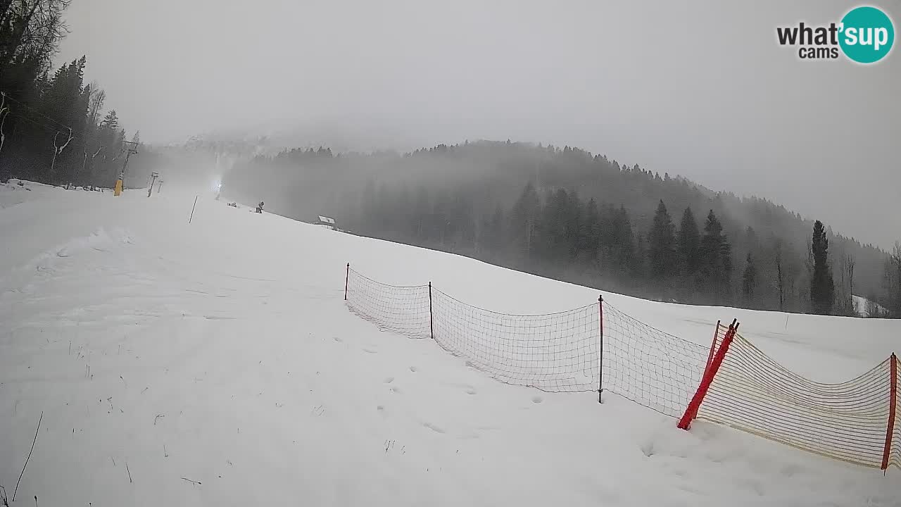 RTC Kranjska Gora | Brsnina