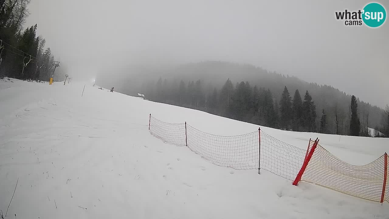Esquí Kranjska Gora | Brsnina