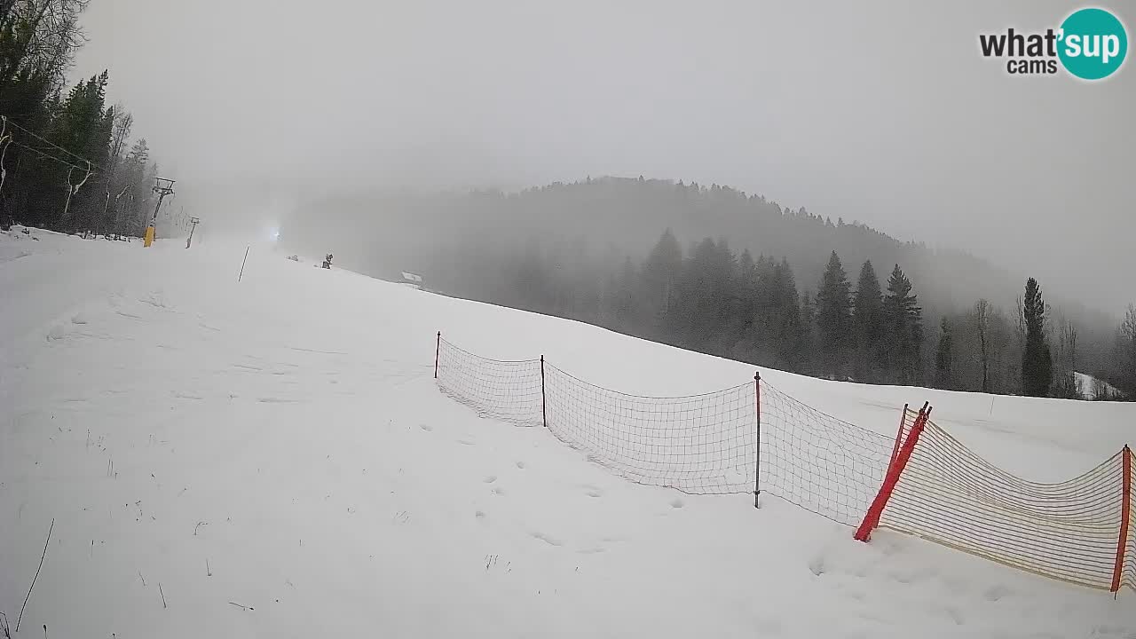 Kranjska Gora SKIJANJE | Brsnina