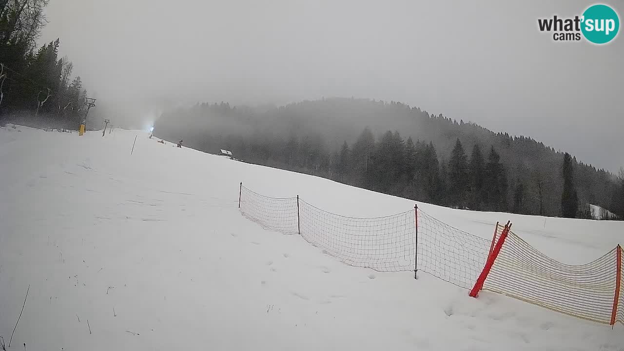 RTC Kranjska Gora | Brsnina
