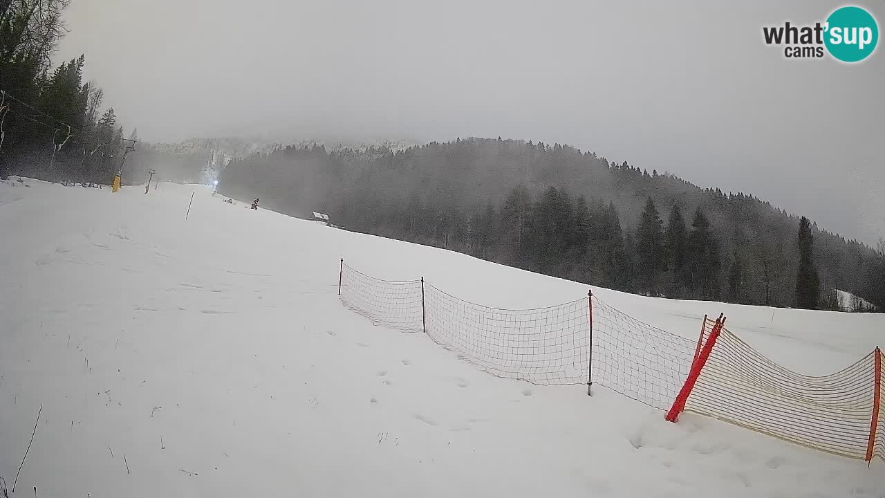 Esquí Kranjska Gora | Brsnina