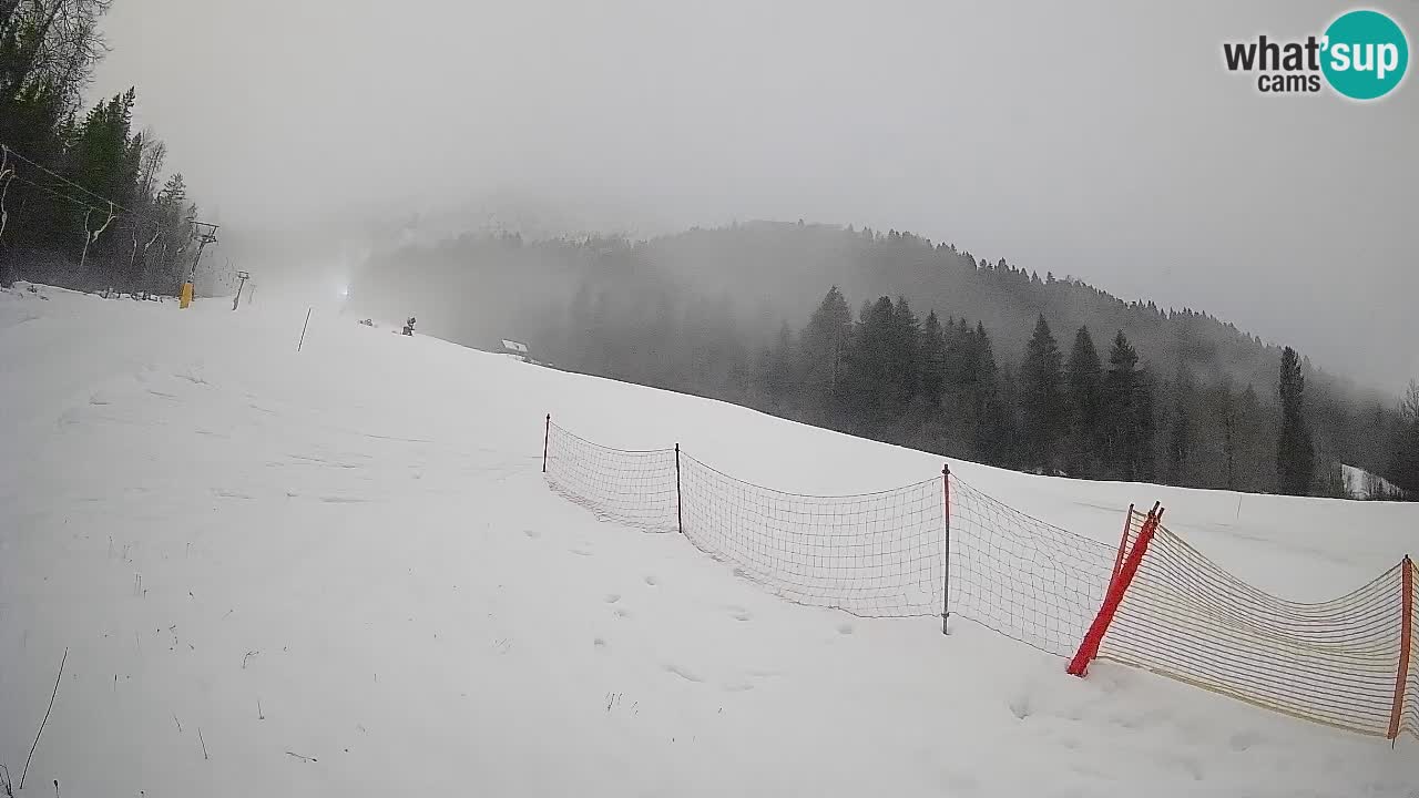 Esquí Kranjska Gora | Brsnina