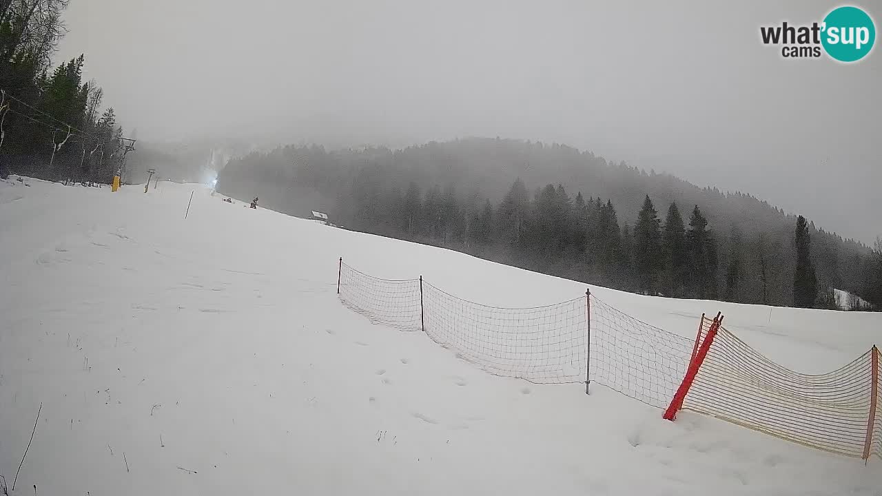 RTC Skigebiet Kranjska Gora | Brsnina