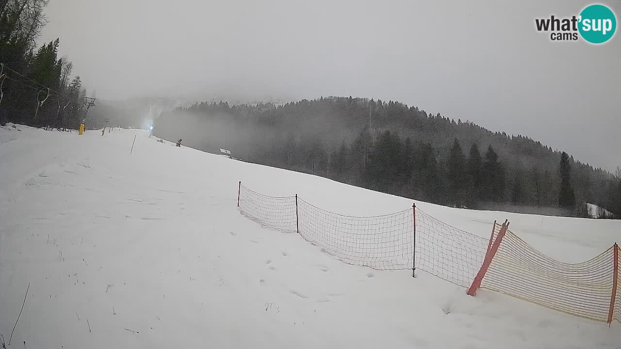 Ski Kranjska Gora | Brsnina
