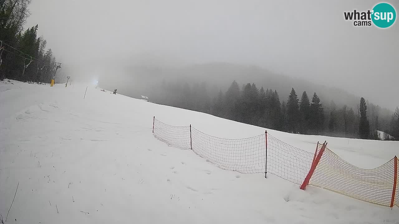 Comprensorio sciistico Kranjska Gora | Brsnina