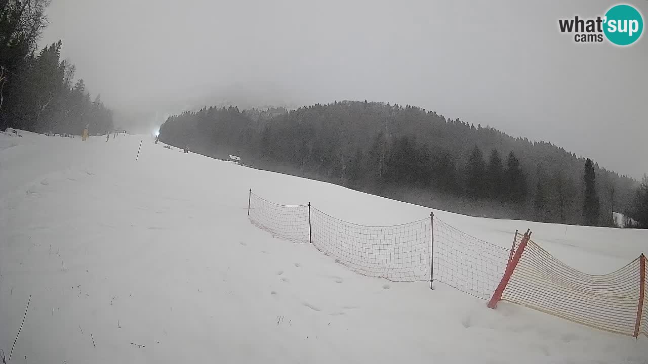 Comprensorio sciistico Kranjska Gora | Brsnina