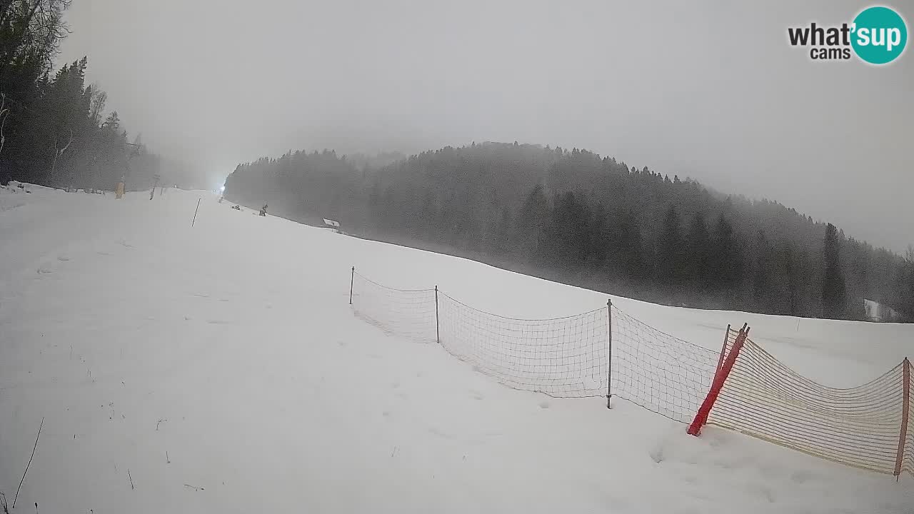 Esquí Kranjska Gora | Brsnina