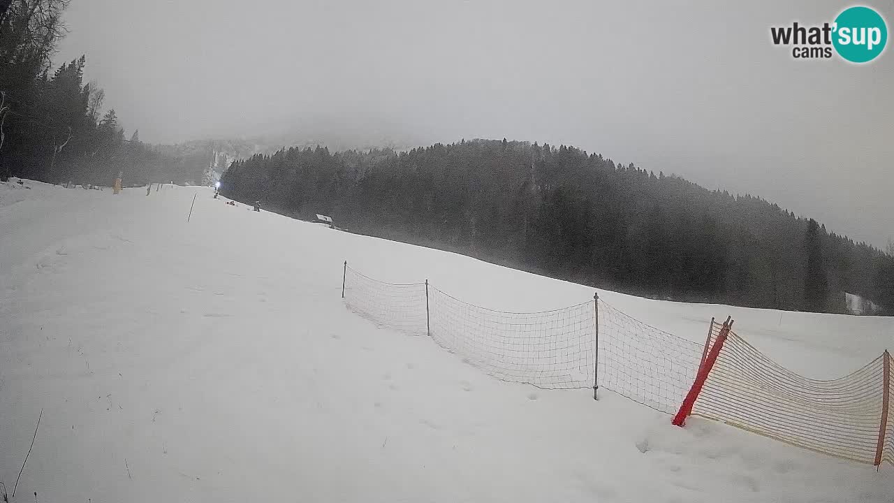 Ski Kranjska Gora | Brsnina