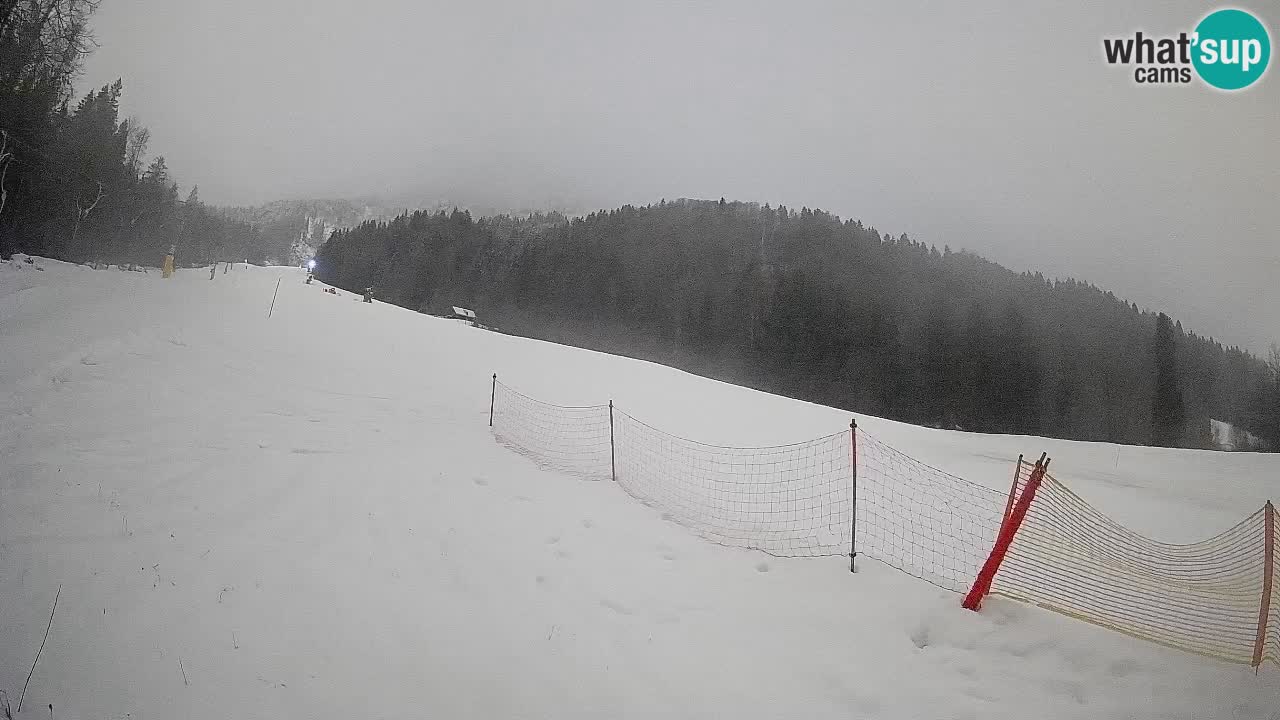 Ski Kranjska Gora | Brsnina