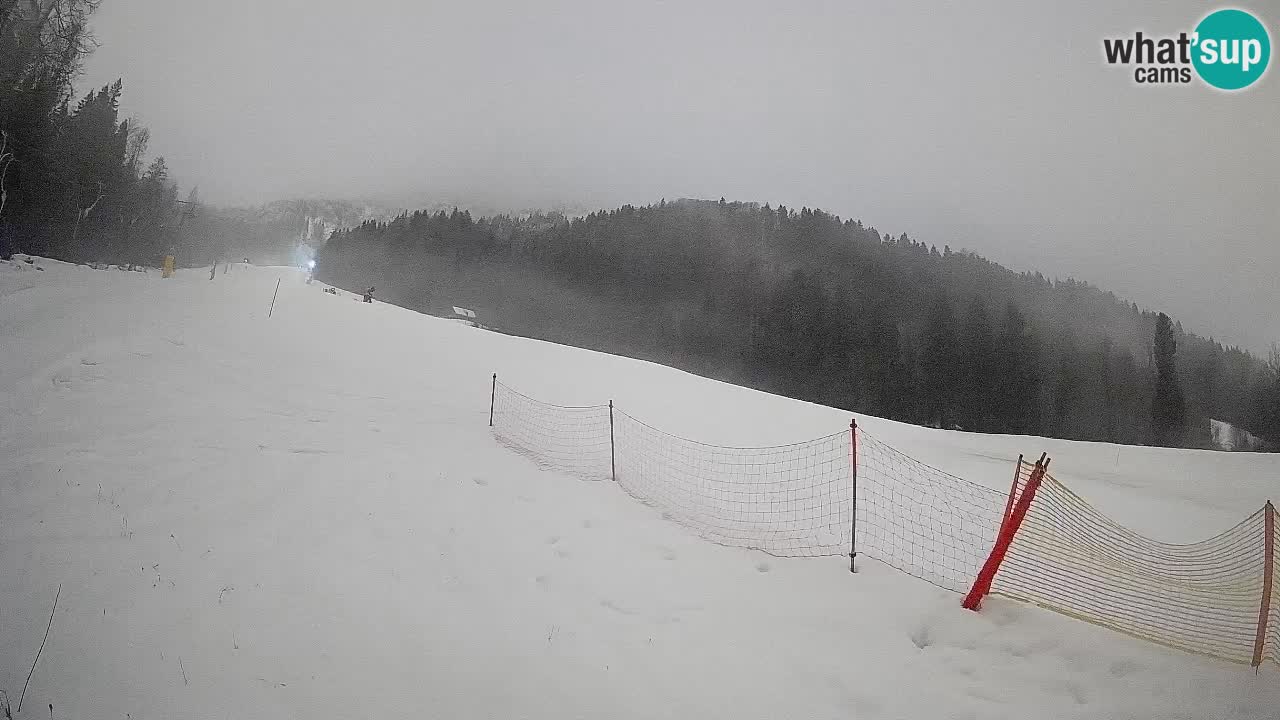 Ski Kranjska Gora | Brsnina