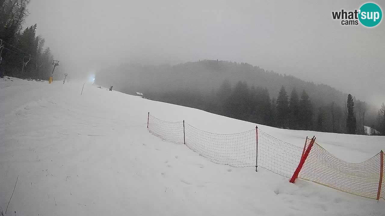 Comprensorio sciistico Kranjska Gora | Brsnina