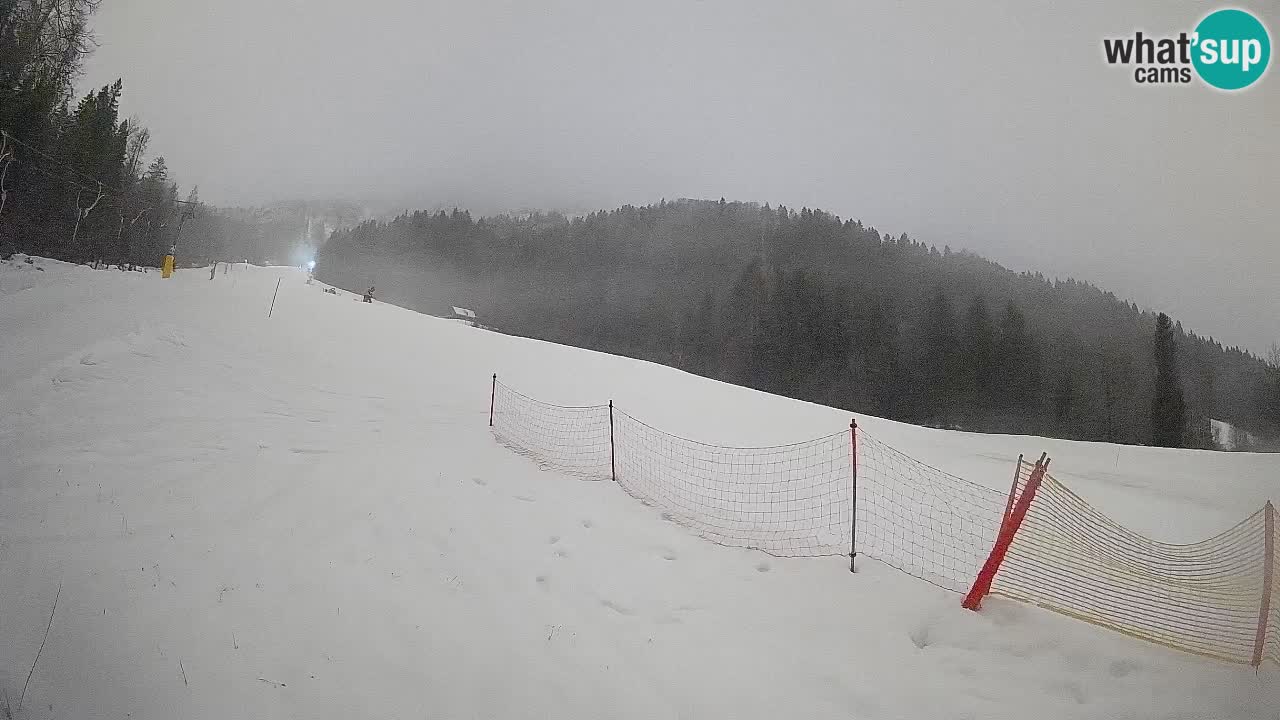 RTC Skigebiet Kranjska Gora | Brsnina