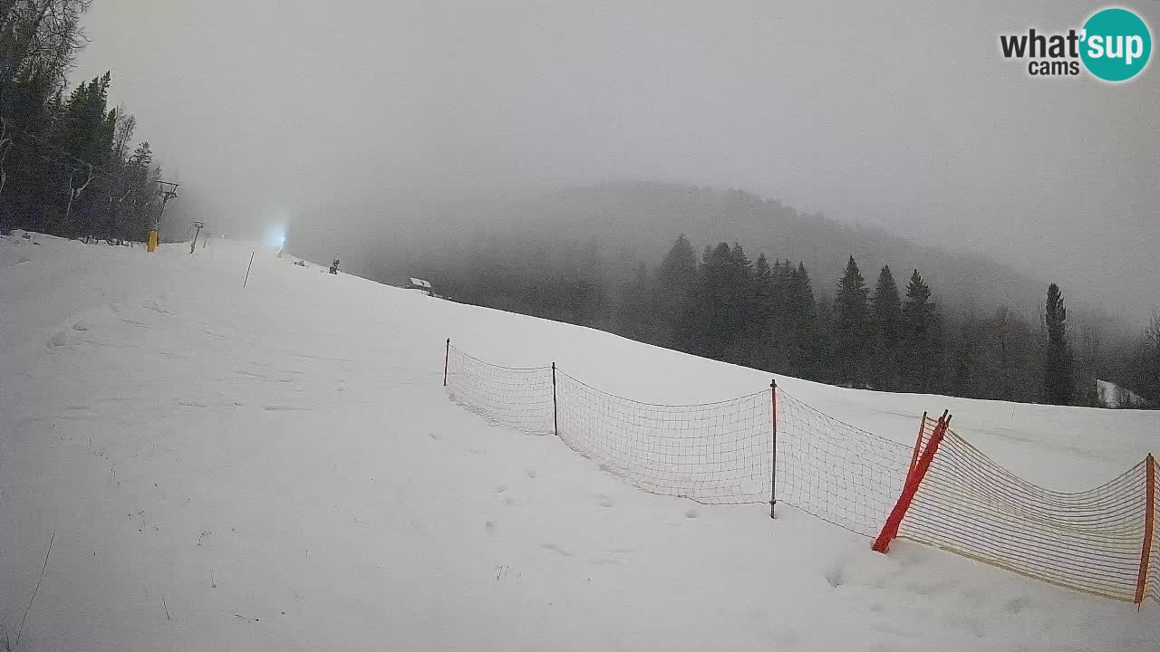 RTC Skigebiet Kranjska Gora | Brsnina