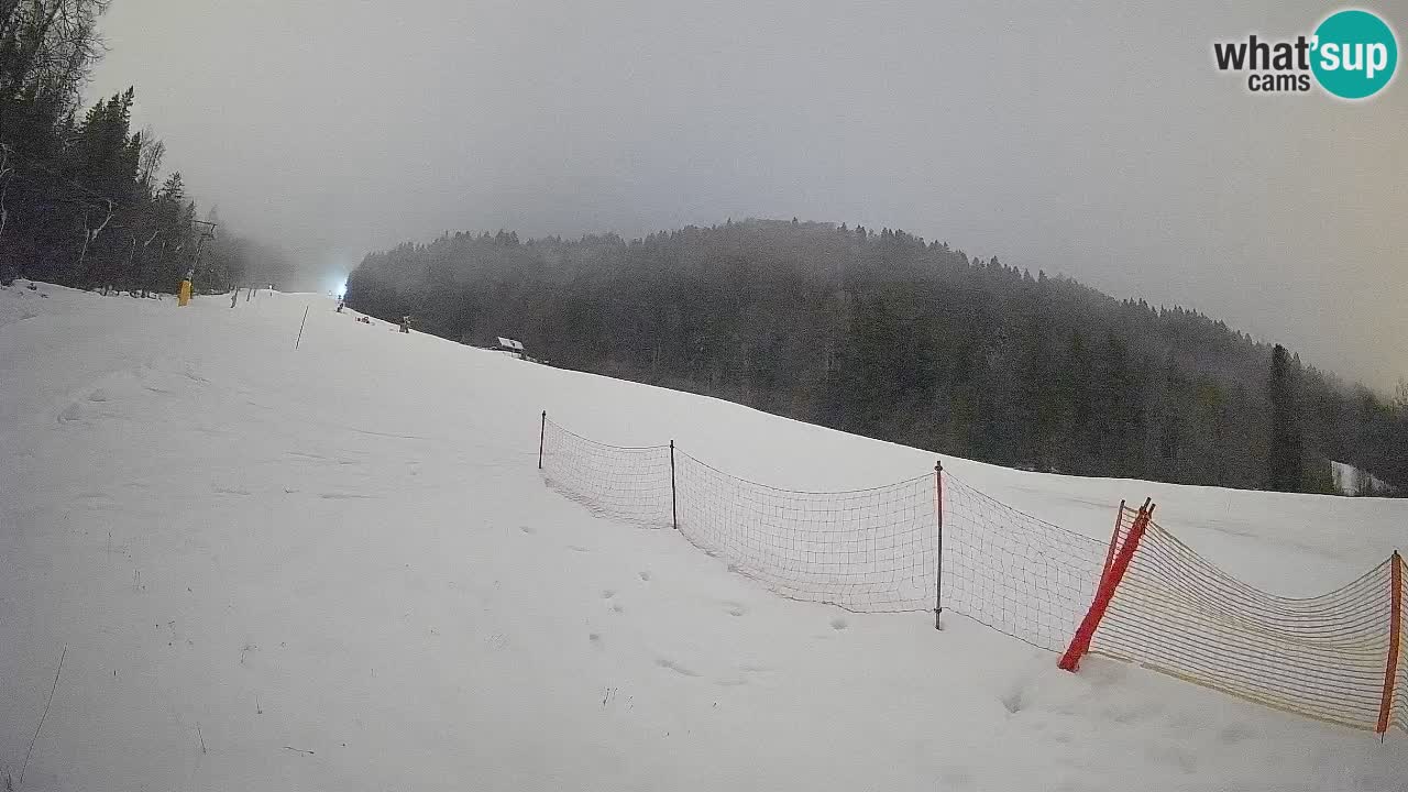 Ski Kranjska Gora | Brsnina