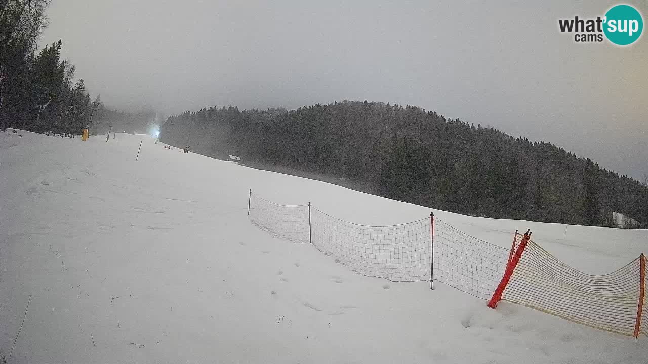 Esquí Kranjska Gora | Brsnina